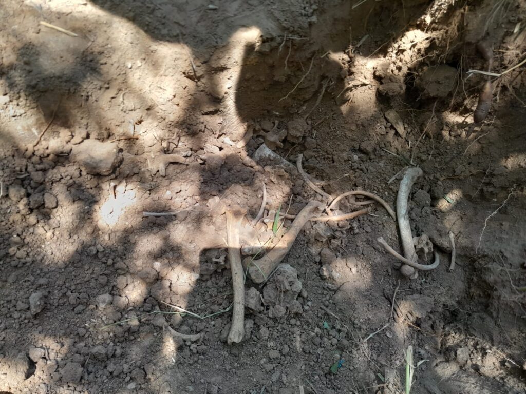361634172_586575450326575_7337977531563320189_n-1024x768.jpg