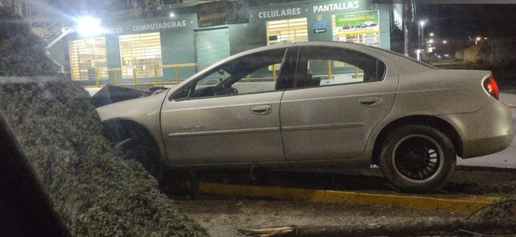 IMG_20240925_084451 IMG_20240925_084451