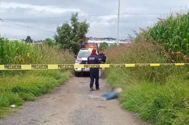 hallan_a_hombre_sin_vida_en_terrenos_de_cultivo_de_atzompa.webp