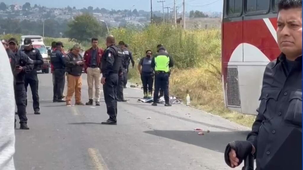 FB_IMG_1728428732890 FB_IMG_1728428732890