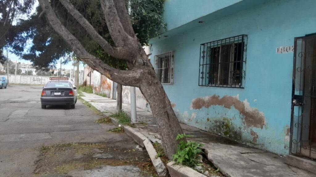 Reportan-arbol-a-punto-de-caer-en-colonia-Cristobal-Colon-1068x601-1-1024x576.jpg