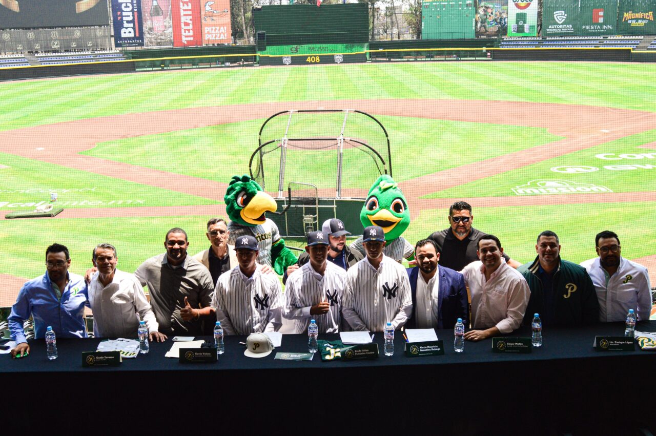 56c7ea0f-eb17-4496-9ad0-8a1c6b4ba32f