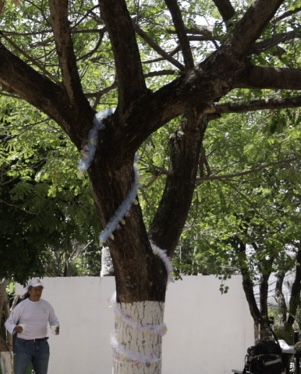 Screenshot Screenshot