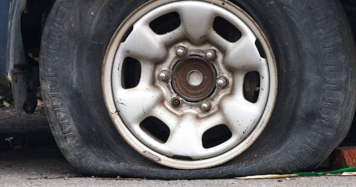 Proyecto nuevo (2) Proyecto nuevo (2)