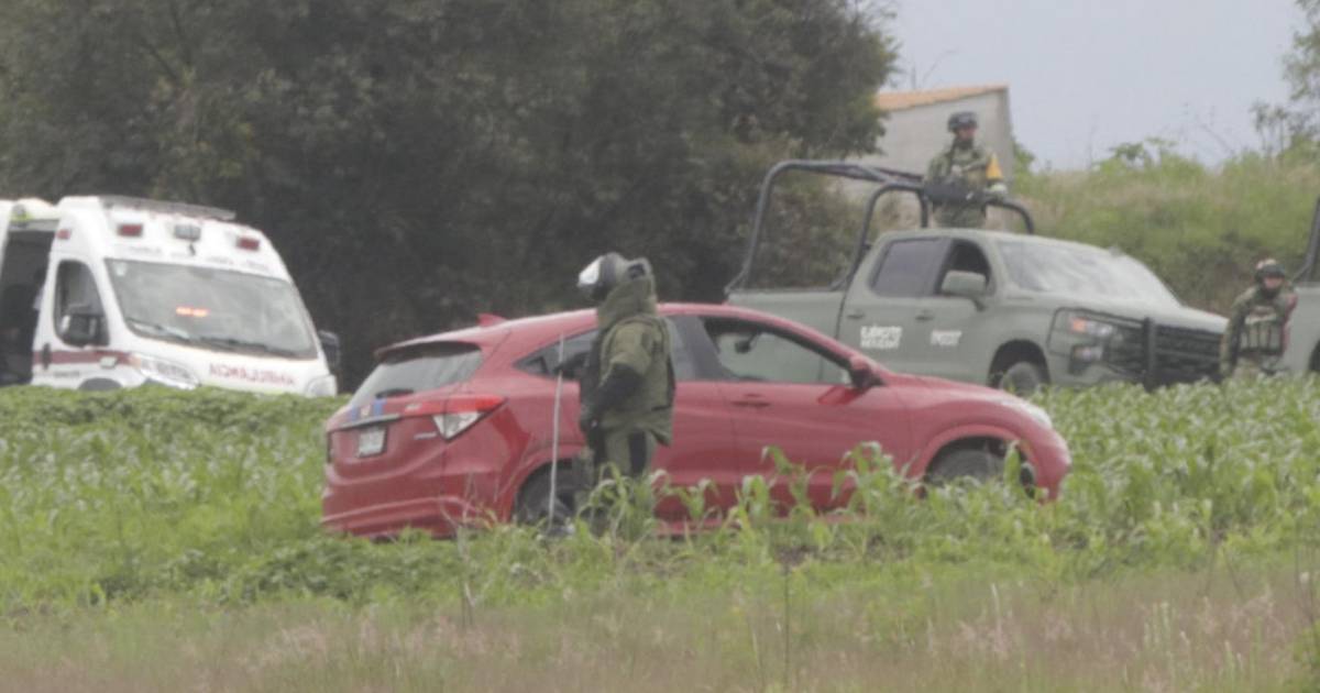 Proyecto nuevo (7) Proyecto nuevo (7)