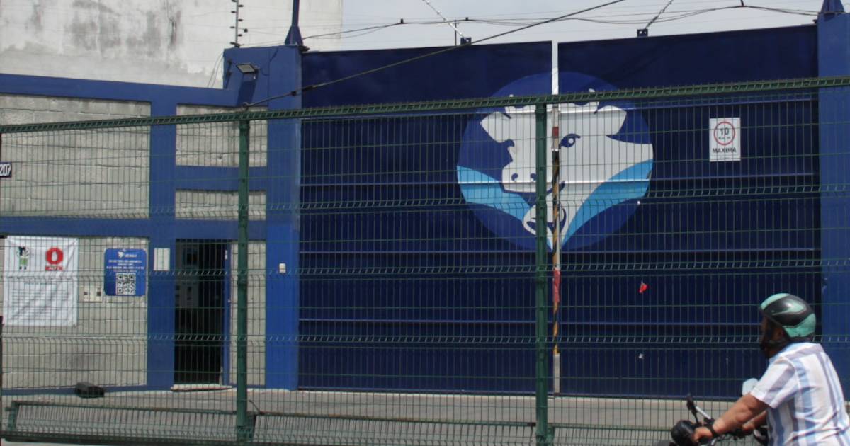 Proyecto nuevo (13) Proyecto nuevo (13)