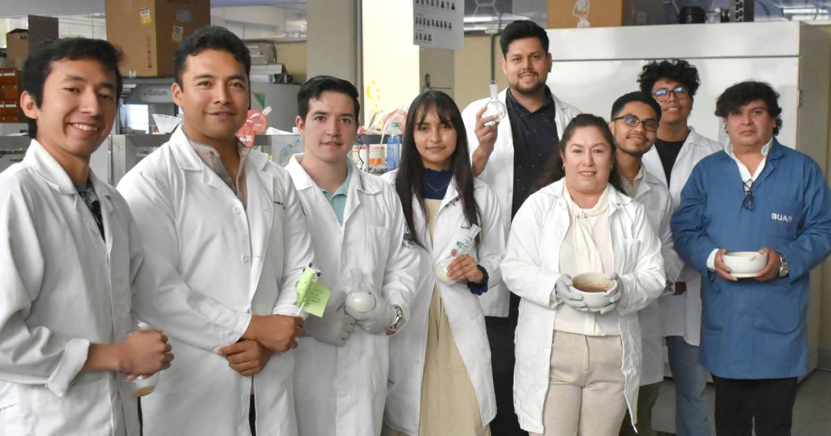 Proyecto nuevo (2) Proyecto nuevo (2)