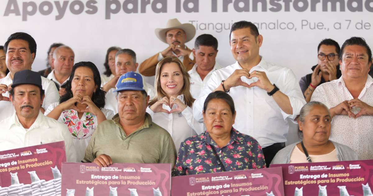 Proyecto nuevo (1) Proyecto nuevo (1)