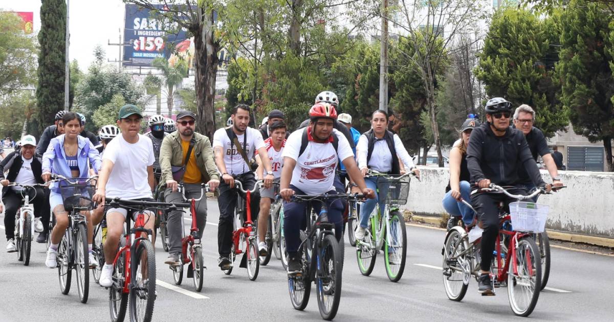 Proyecto nuevo (6) Proyecto nuevo (6)