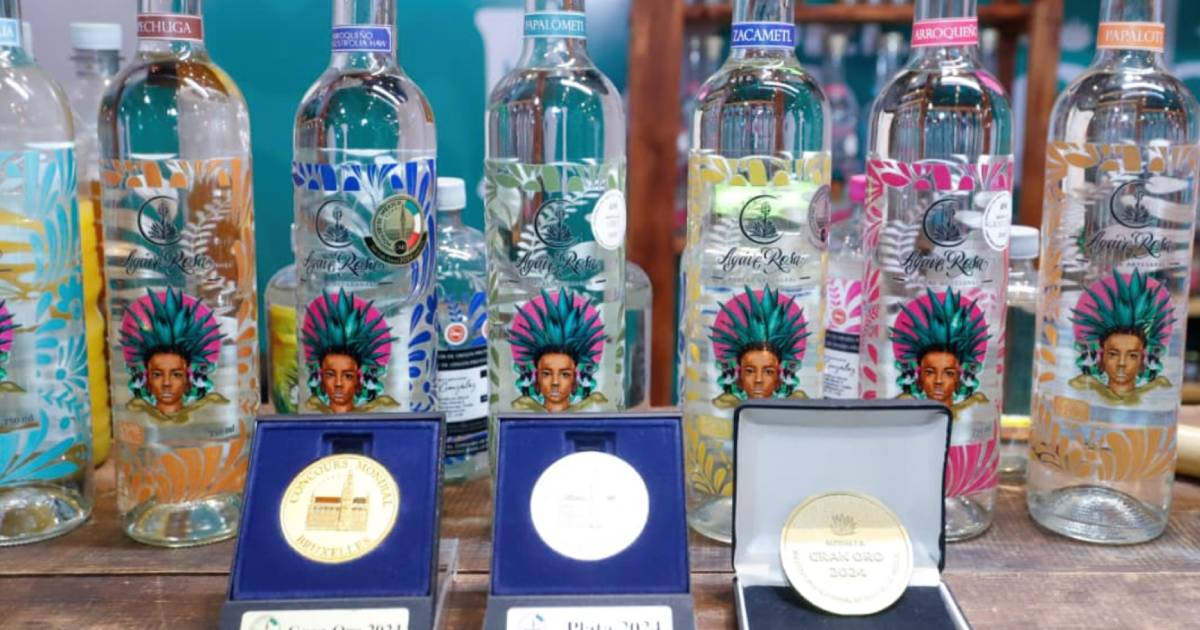 Proyecto nuevo (5) Proyecto nuevo (5)