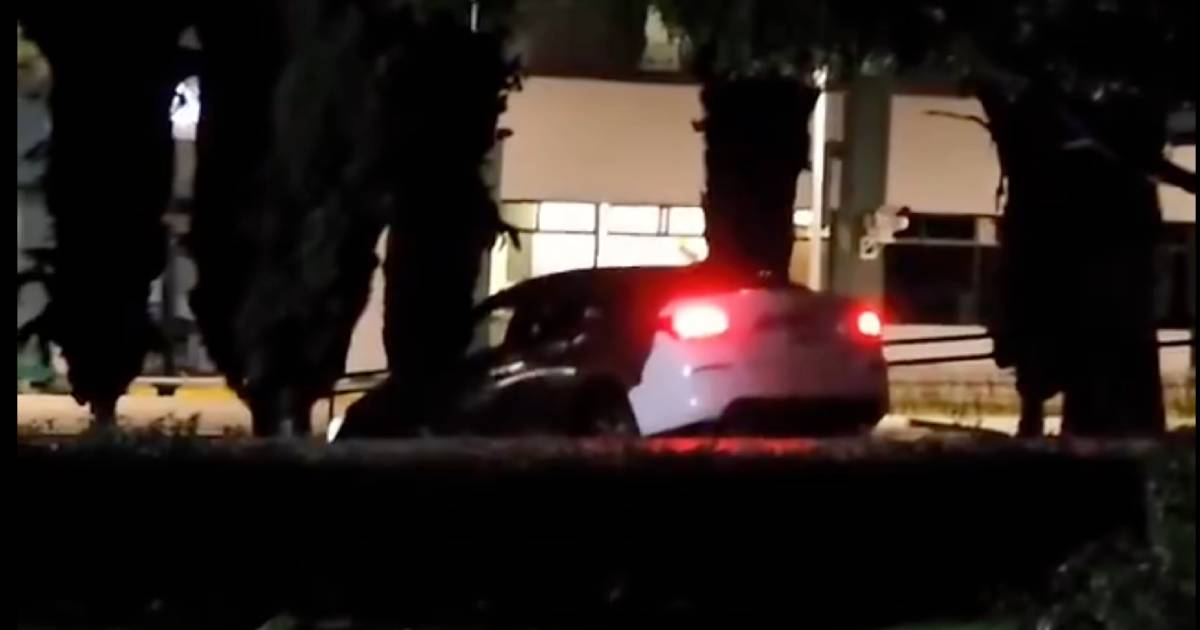 Proyecto nuevo (2) Proyecto nuevo (2)