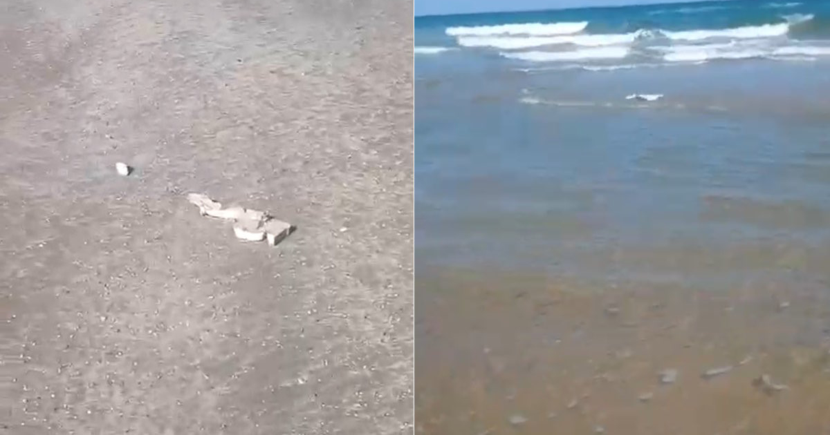 Proyecto nuevo - 2025-10-17T183453.242