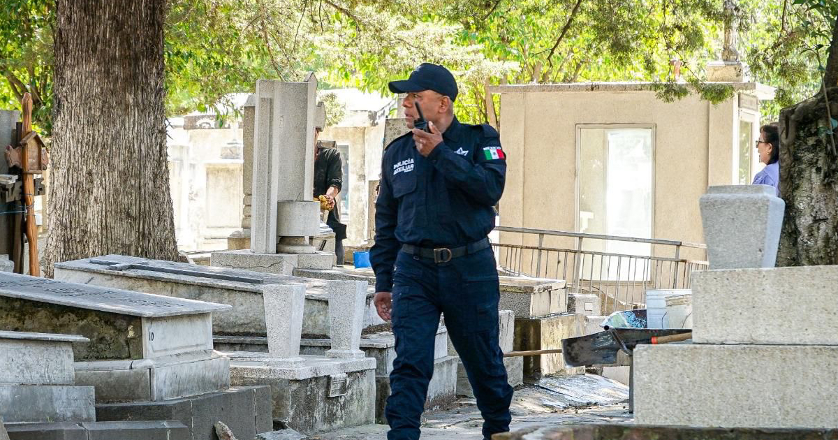 Proyecto nuevo - 2025-10-31T141124.941 Proyecto nuevo - 2025-10-31T141124.941