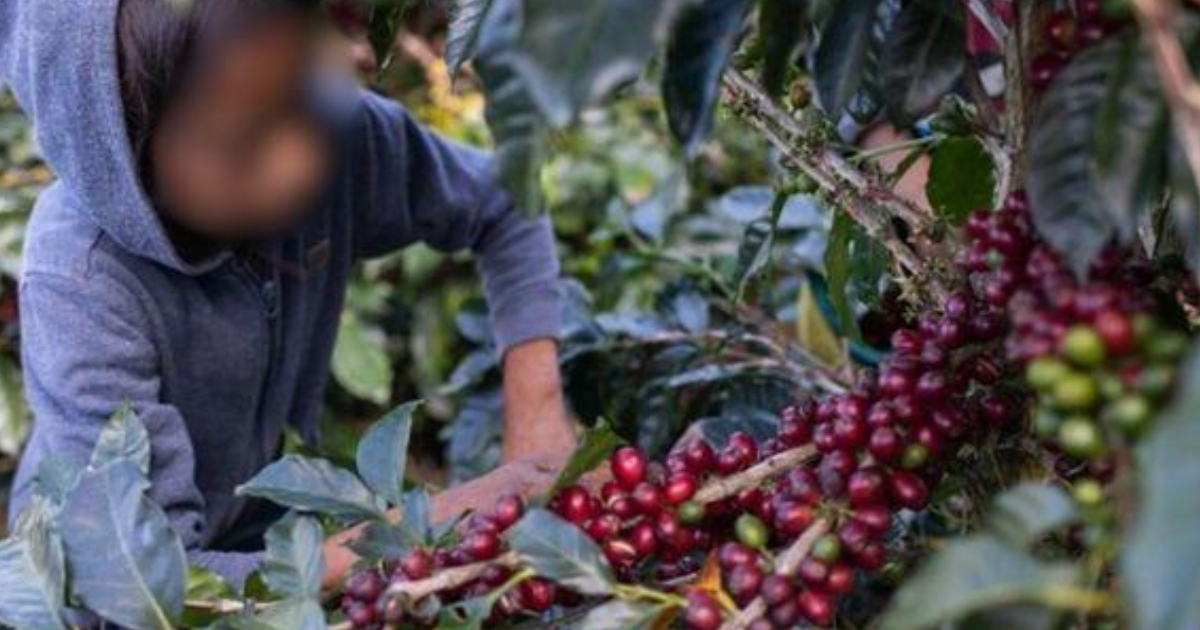 Proyecto nuevo - 2025-10-31T154839.165