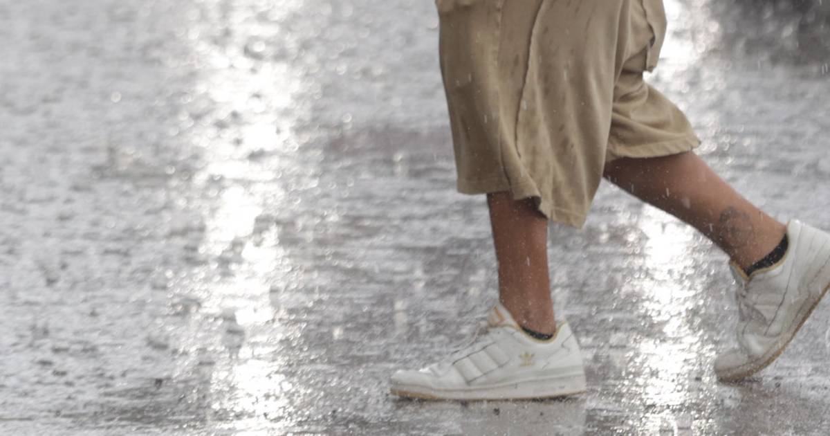 Proyecto nuevo (3) Proyecto nuevo (3)