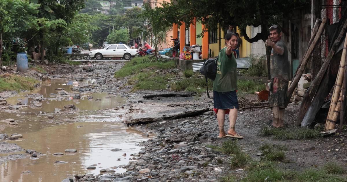 Proyecto nuevo Proyecto nuevo