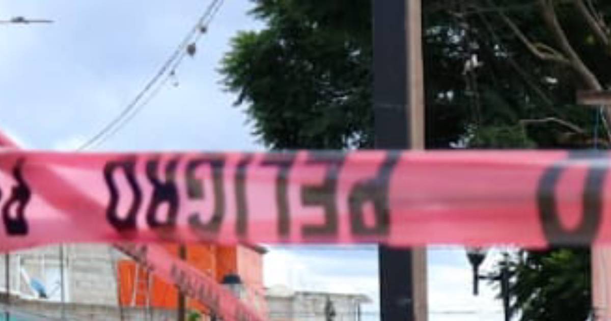 Proyecto nuevo (5) Proyecto nuevo (5)