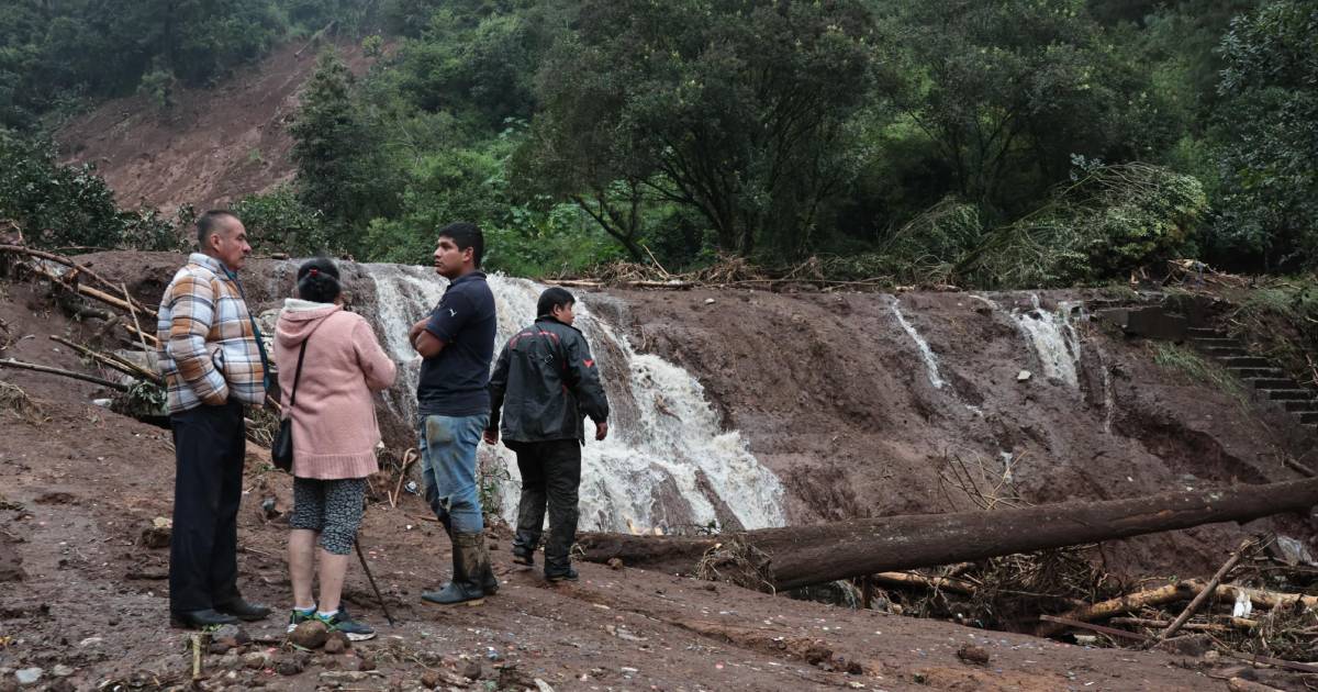 Proyecto nuevo Proyecto nuevo