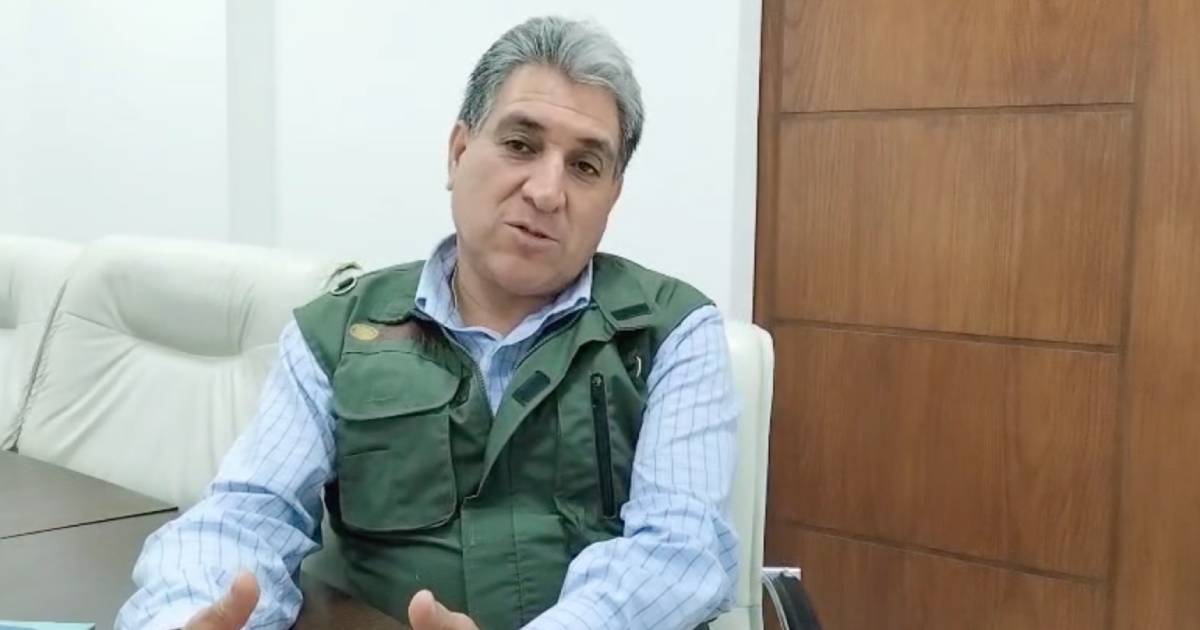 Proyecto nuevo (6) Proyecto nuevo (6)