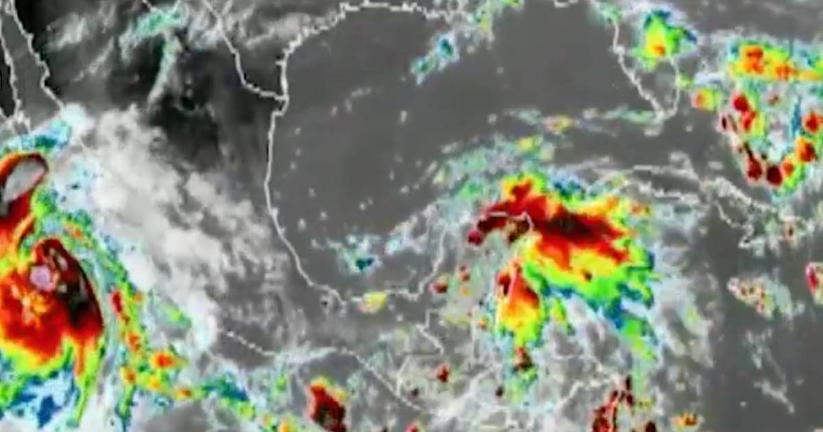 Proyecto nuevo (6) Proyecto nuevo (6)