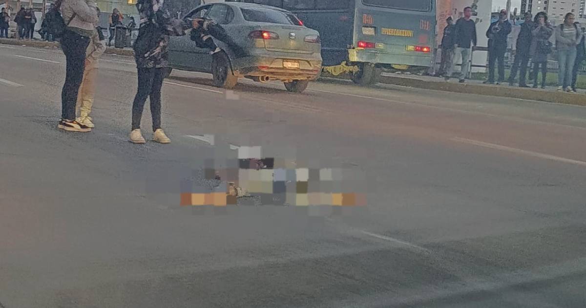 Proyecto nuevo Proyecto nuevo