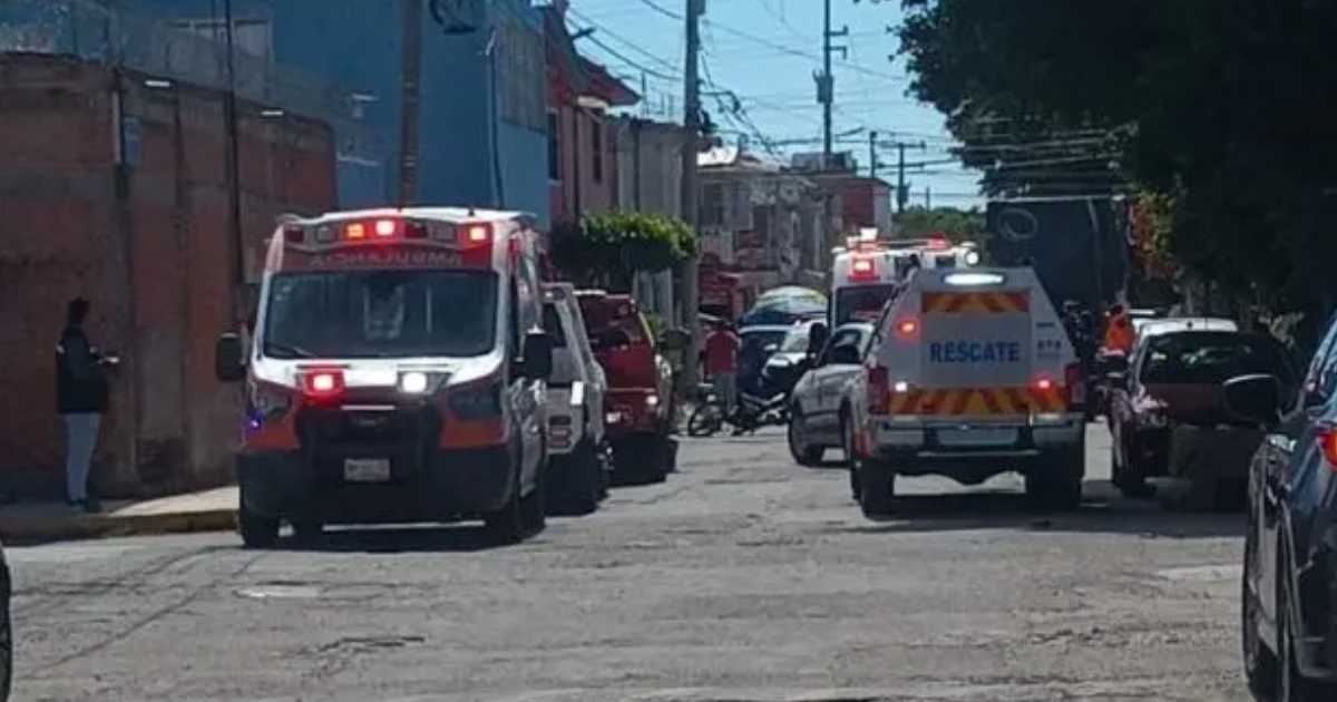 Proyecto nuevo (14) Proyecto nuevo (14)