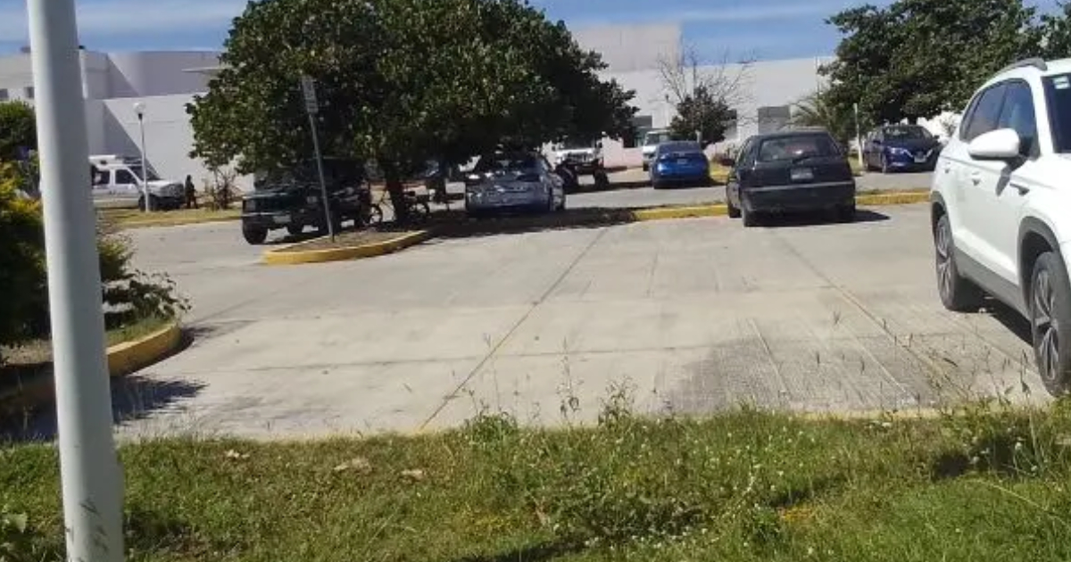 Proyecto nuevo - 2025-11-05T171855.947