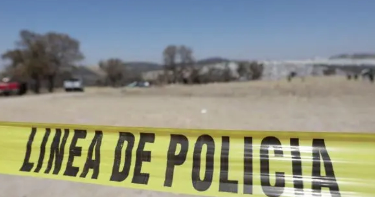 Proyecto nuevo - 2025-11-07T133053.044 Proyecto nuevo - 2025-11-07T133053.044