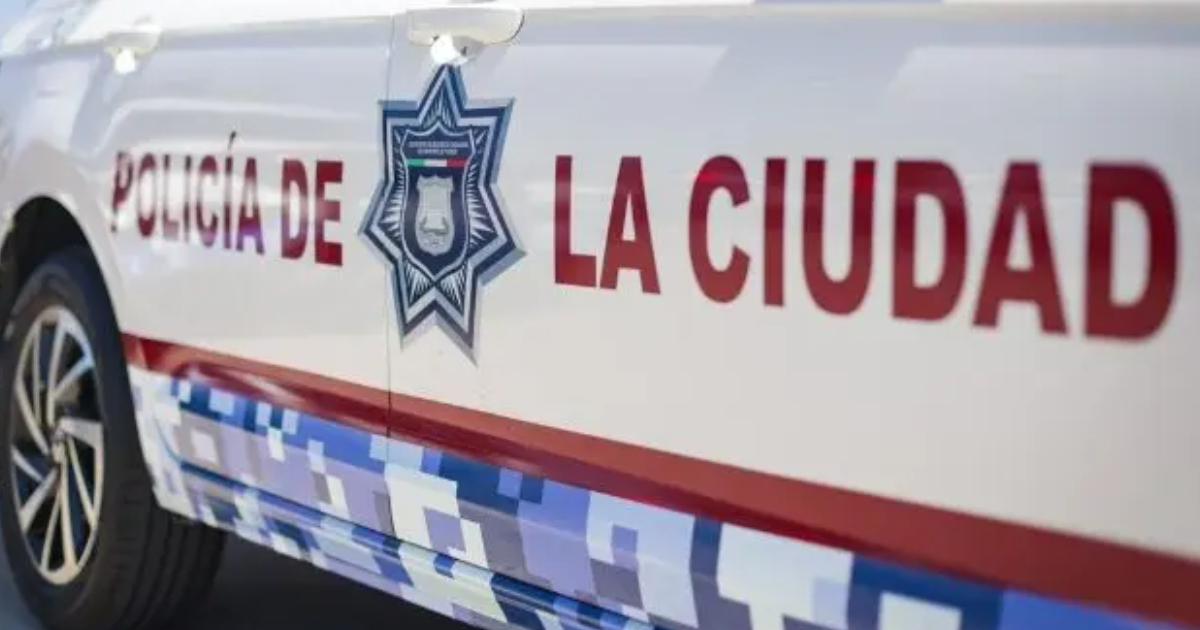 Proyecto nuevo - 2025-11-12T104248.115 Proyecto nuevo - 2025-11-12T104248.115