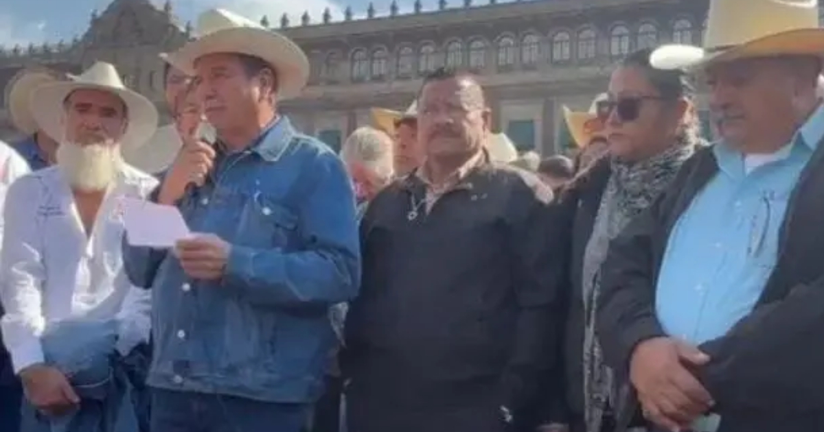 Proyecto nuevo - 2025-11-12T115112.028 Proyecto nuevo - 2025-11-12T115112.028