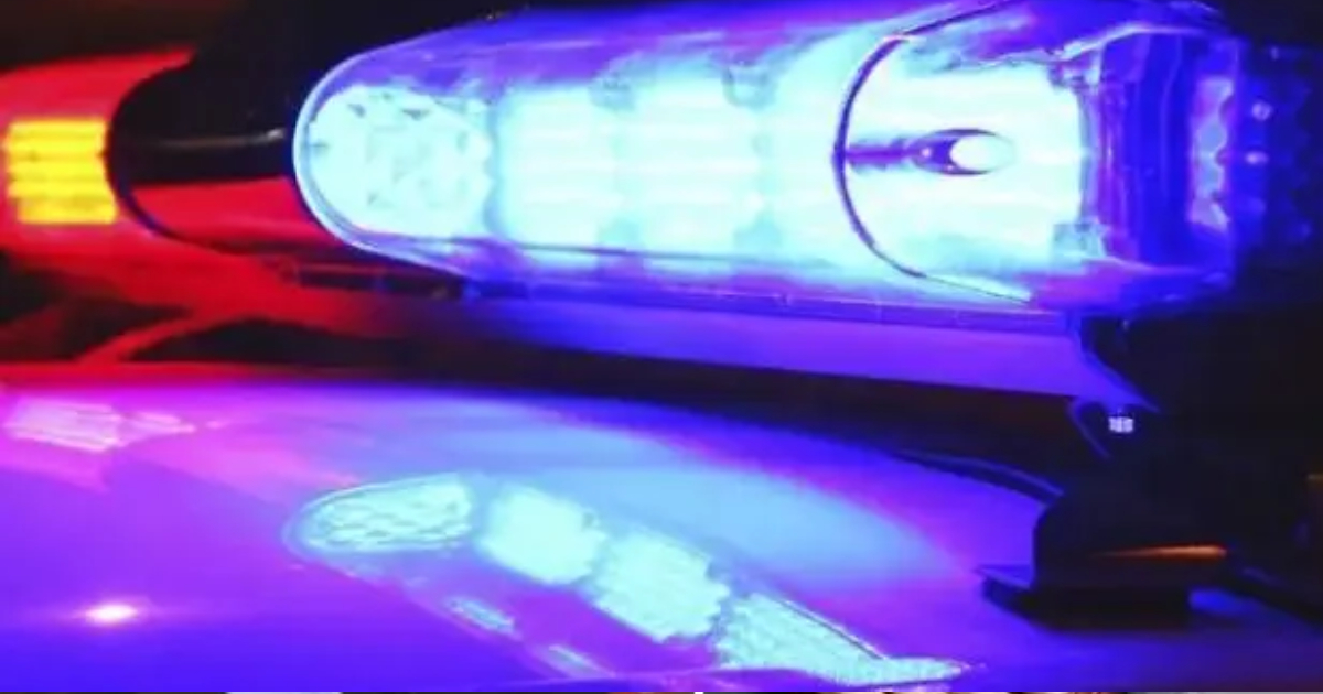 Proyecto nuevo - 2025-11-12T124119.643 Proyecto nuevo - 2025-11-12T124119.643