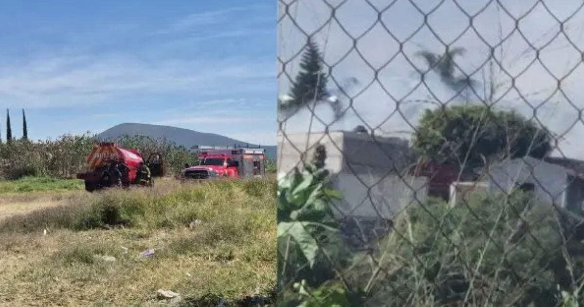 Proyecto nuevo (22) Proyecto nuevo (22)