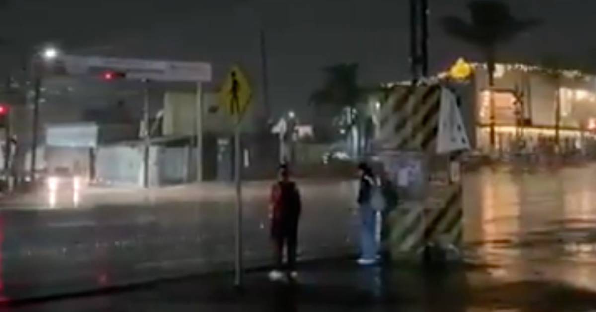 Proyecto nuevo (1) Proyecto nuevo (1)