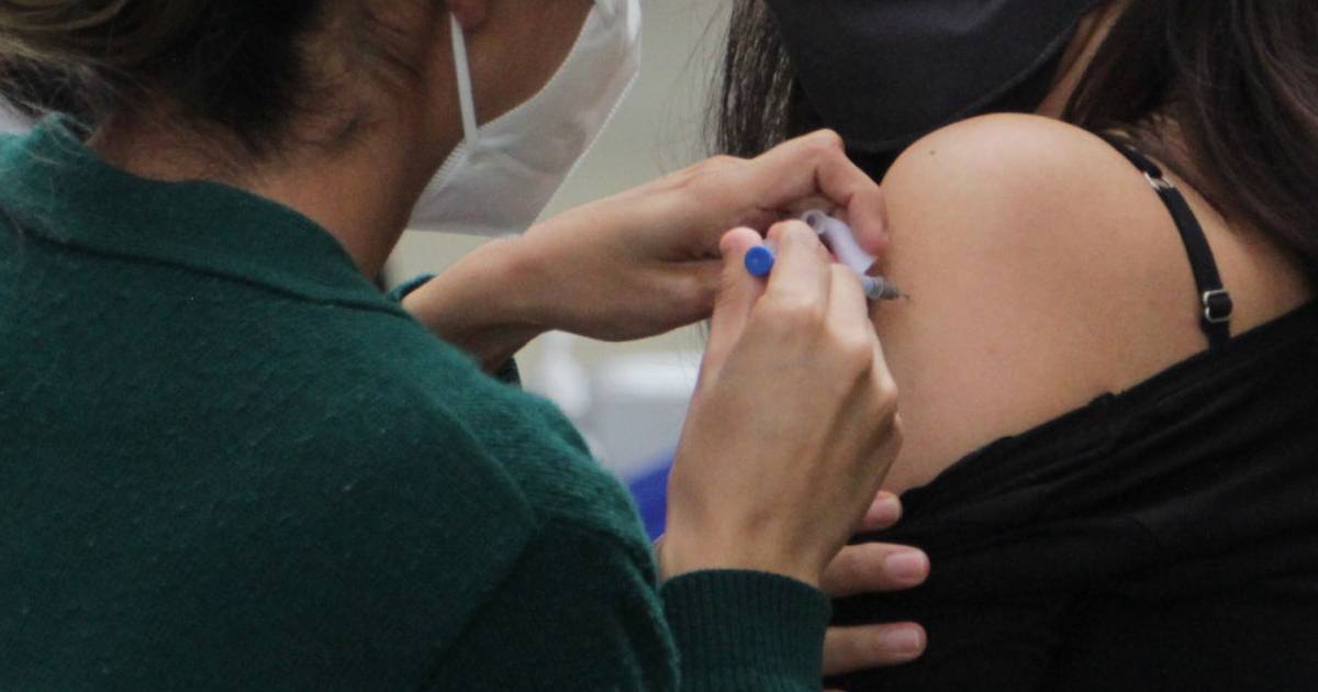 Proyecto nuevo (3) Proyecto nuevo (3)