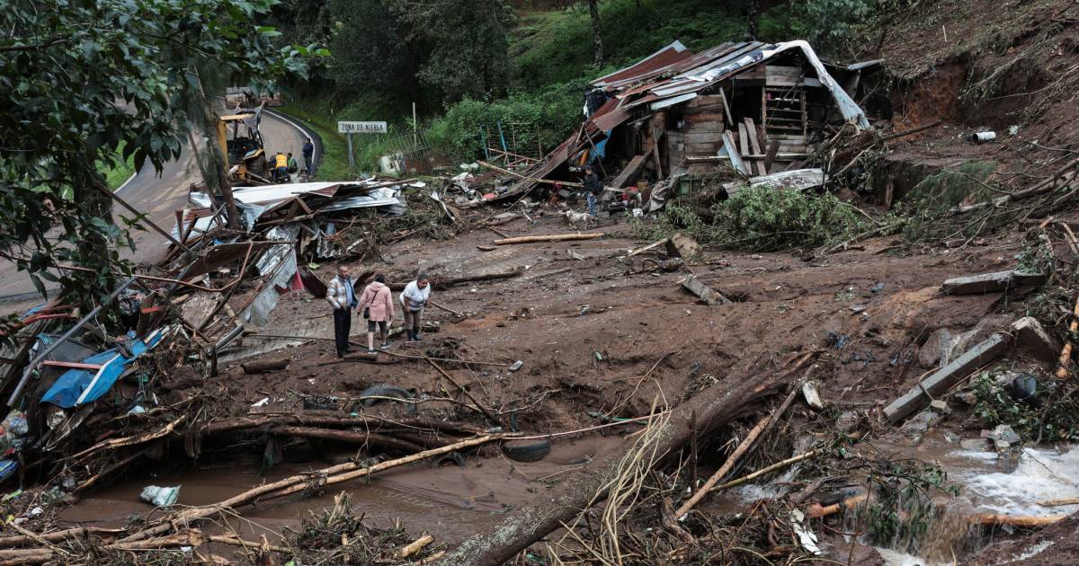 Proyecto nuevo Proyecto nuevo