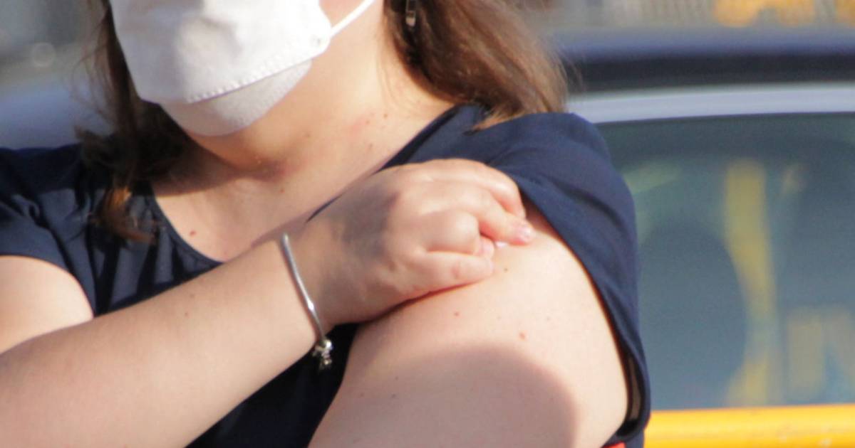 Proyecto nuevo Proyecto nuevo