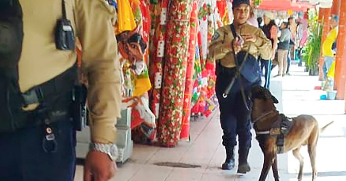 Proyecto nuevo (6) Proyecto nuevo (6)