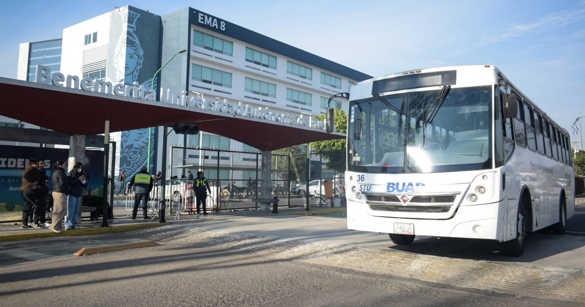 Proyecto nuevo (6) Proyecto nuevo (6)