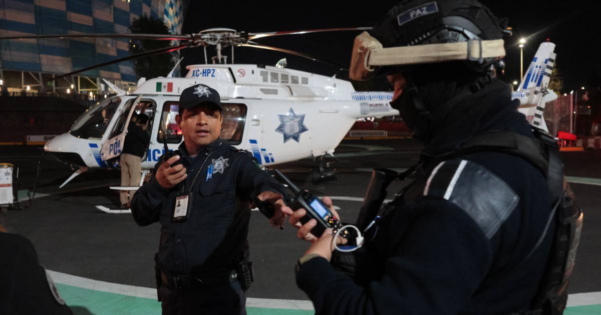 Proyecto nuevo (7) Proyecto nuevo (7)