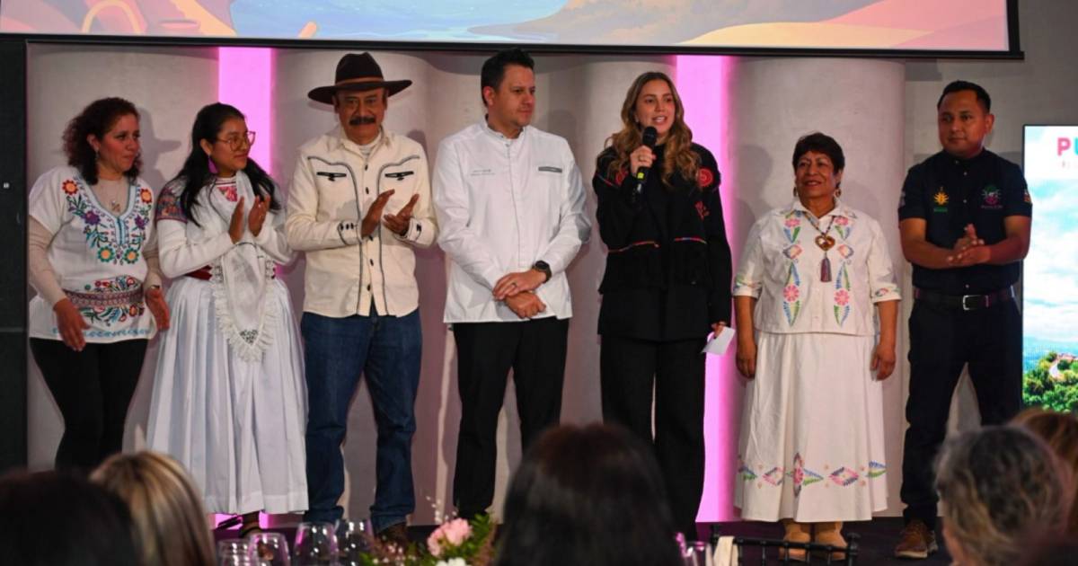 Proyecto nuevo (1) Proyecto nuevo (1)