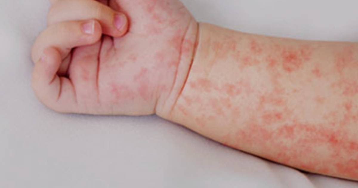 Proyecto nuevo (1) Proyecto nuevo (1)