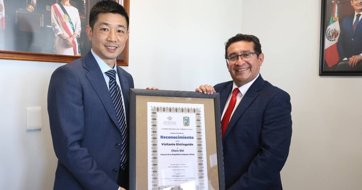 Proyecto nuevo (13) Proyecto nuevo (13)