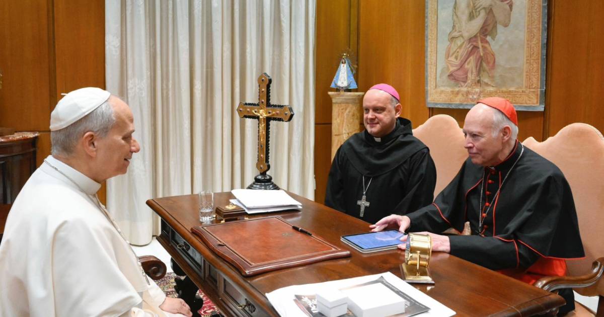 Proyecto nuevo (15) Proyecto nuevo (15)