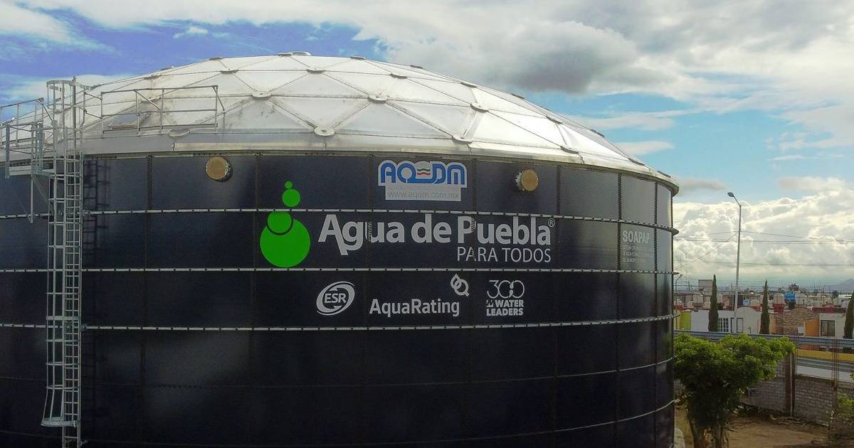 Proyecto nuevo (19) Proyecto nuevo (19)