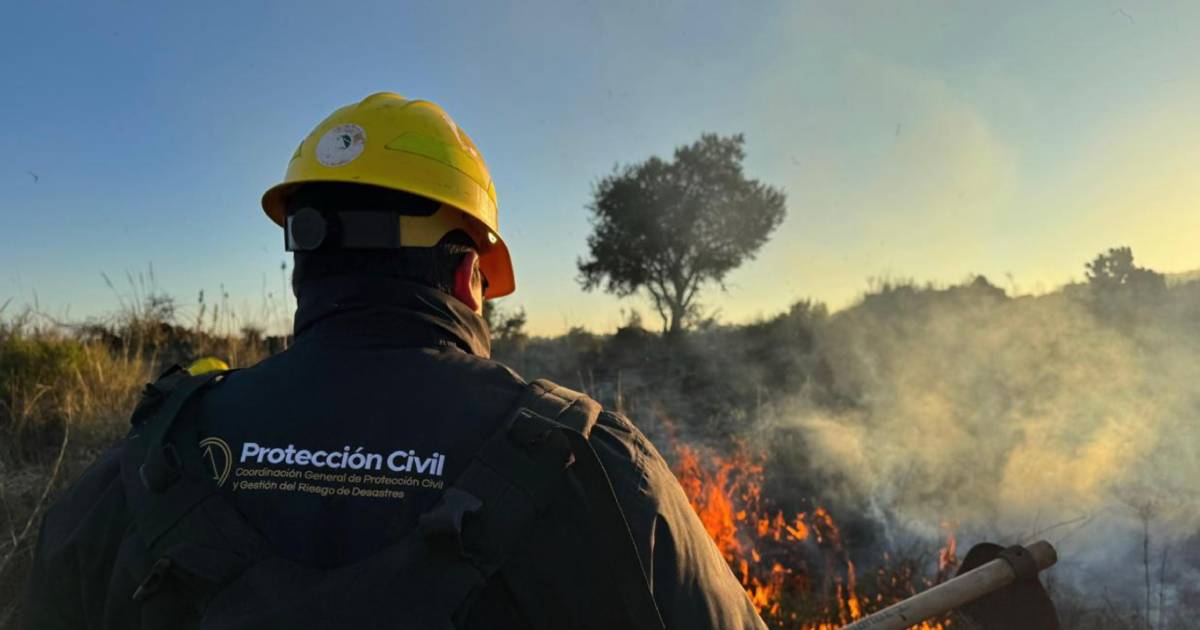 Proyecto nuevo (3) Proyecto nuevo (3)