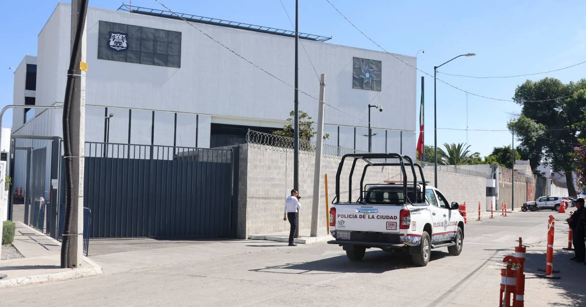 Proyecto nuevo (5) Proyecto nuevo (5)