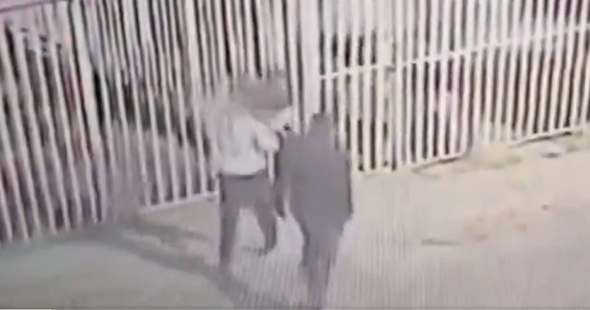 Proyecto nuevo (6) Proyecto nuevo (6)