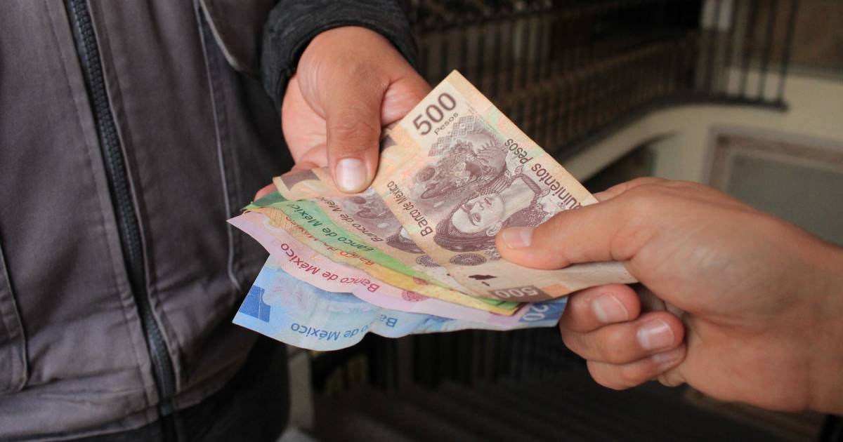 Proyecto nuevo (6) Proyecto nuevo (6)