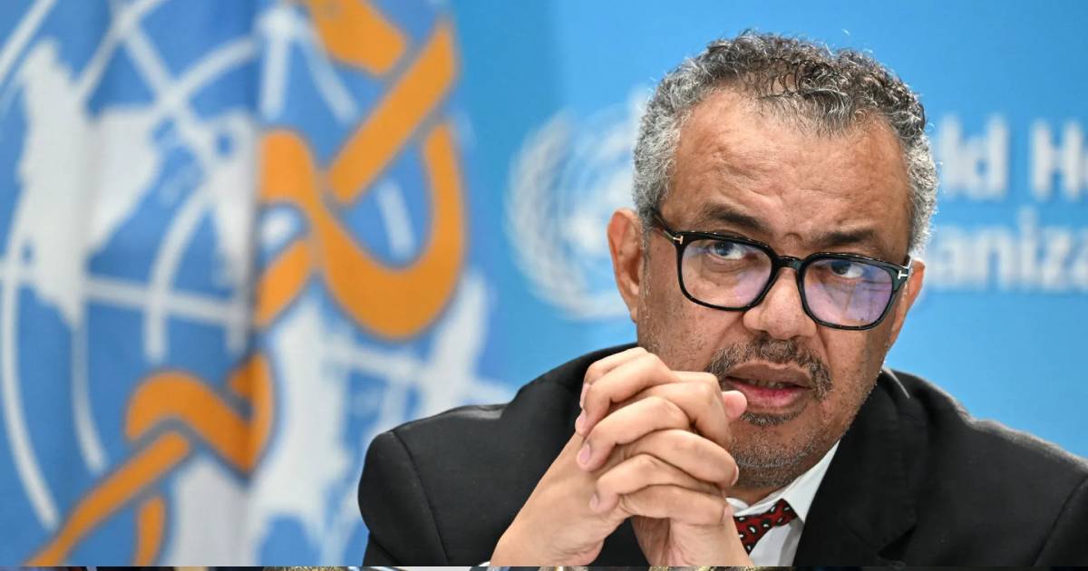 Proyecto nuevo (7) Proyecto nuevo (7)