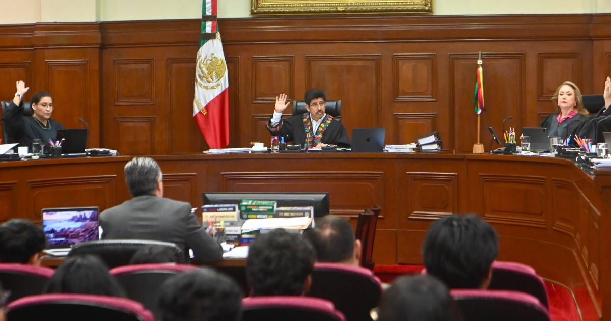 Proyecto nuevo (8) Proyecto nuevo (8)